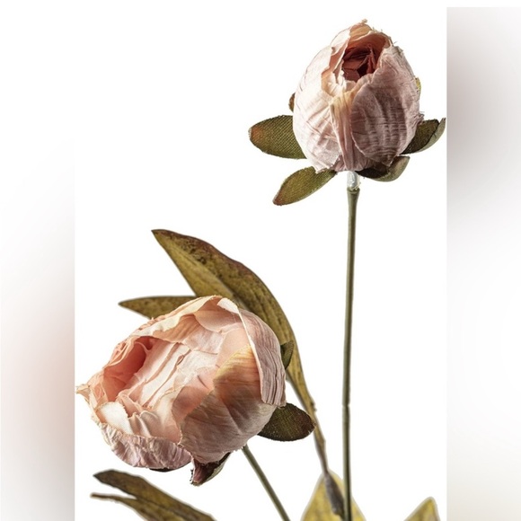 Tan and cream peony stems by Ashland 5 Tan & 5 cream - Picture 5 of 8